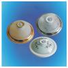 PIR Sensor Ceiling Lamp