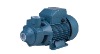 PKM Series Peripheral Pump