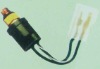 PRESSURE SWITCH(pressure control accessories)