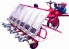 Paddy rice transplanter with six rows