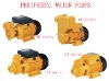 Peripheral water pumps