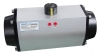 Pneumatic Actuator