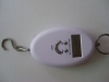 Portable Electronic Scale