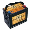 Prostar Maintenance Free Auto Battery