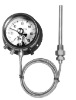 REMOTE READING THERMOMETER