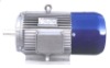 Rare earth permanent magnetism energy-efficient motor