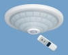 Remote sensor lamp
