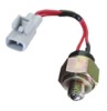 Reversing light Switch