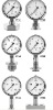 SANITARY PRESSURE GAUGE