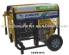 SDW190RA,Welding generator, Generator,Diesel generator,Diesel welding generator