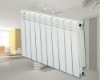 SD-001 Radiator (Amanda)