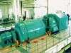 SINGLE EXTRACTION STEAM TURBINE