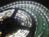 SMD LED Strip