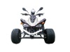 SP110J EEC ATV
