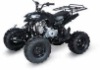 SP306A  ATV