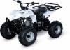 SP306 ATV