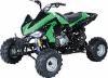 SP307B ATV