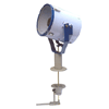 Search Light