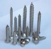 Self Tapping Screw