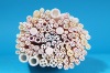 Sell ceramic insulation tubes