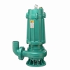 Sewage Pump