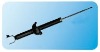 Shock Absorber/Auto Parts/Auto Shock Absorber