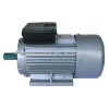 Single phase motor