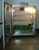 Small Egg Incubator (ELYE-3)