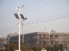 Solar & Wind Street Light