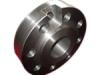 Steel Forging