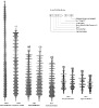 Suspension Composite Insulator