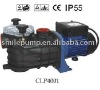 Swimming Pool Filter Pump