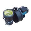 Swimming Pool Priming Pump