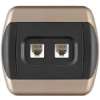 Telephone socket