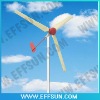 The largest market, sales of wind turbine 300W