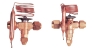 Thermostatic Expansion Valve