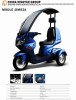 Three Wheel Electric bike