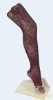 Tights,panty hose,socks,meshy tights,meshy panty hose,meshy pants,ladies underwear