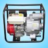Trash Water Pump DPT80C