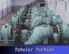 Tubular Turbine