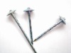 Umbrella Head Nail