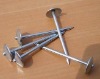 Umbrella Head Roofing Nails