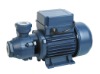 Vortex Pump(DKF1)