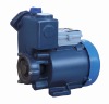 Vortex pump(DGP)