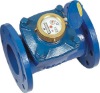 WOLTMAN WATER METER  LXLG-50~300