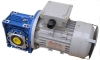WORM GEAR REDUCER