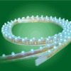 Waterproof Digital lamp LED flexible Flying Dragon Ribbon strip