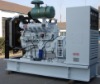 WeiChai Diesel Generator  ( Super Silent )