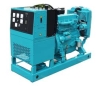 Weichai Ricardo Series Generator Set (8-140kW) passed CE ISO open and silent type