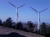 Wind Power (15KW Wind turbine Generator)